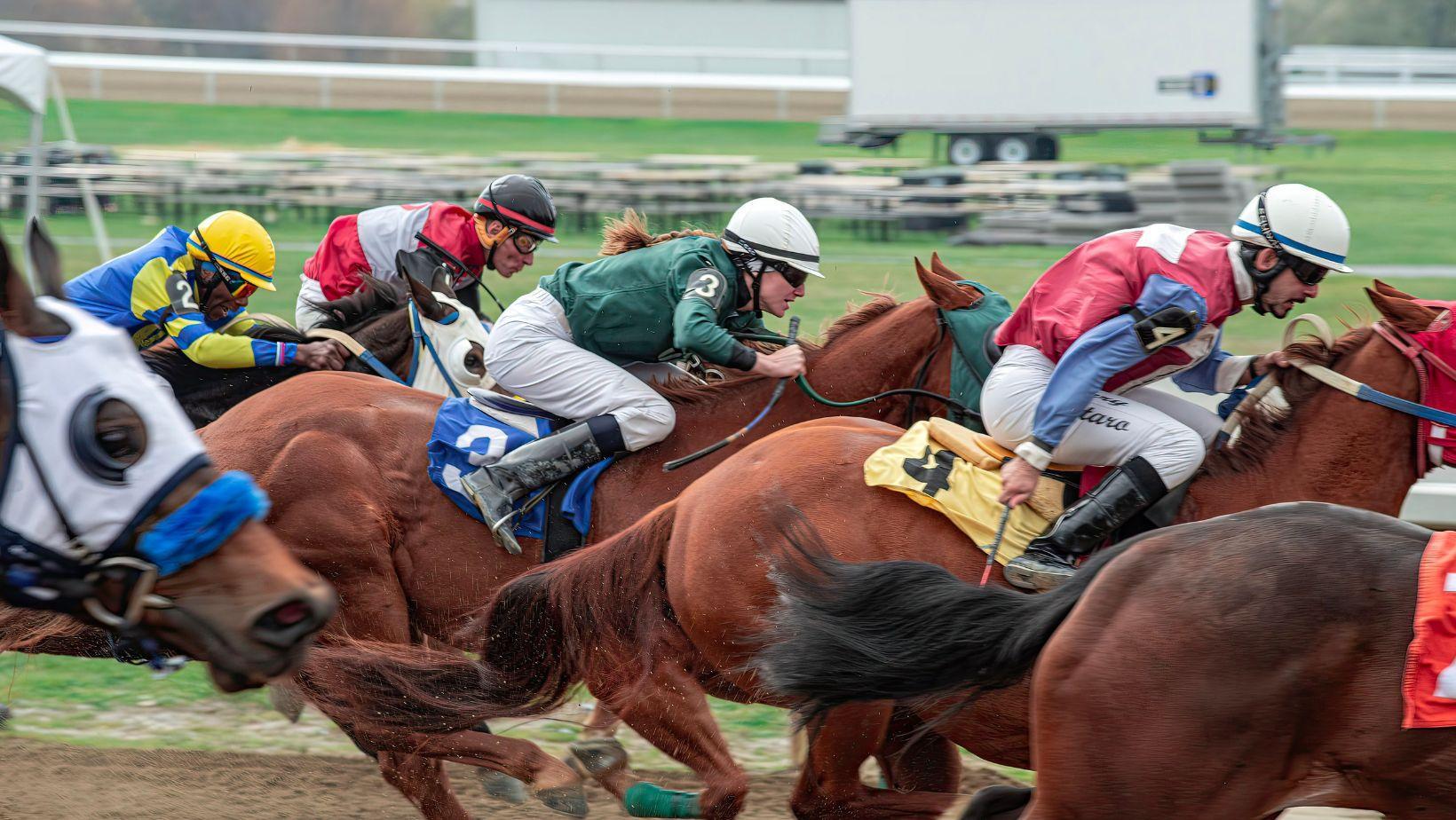 racehorse training lessons, leadership lessons from racehorses, pursuing big goals, achieving success lessons, athlete mindset development, champion mindset strategies, goal setting inspiration, competitive edge tips, motivation from racehorses, sports performance insights